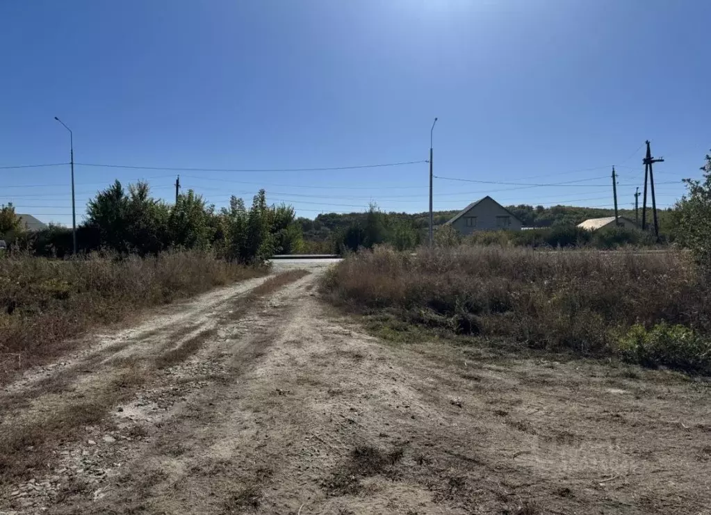 Участок в Саратовская область, с. Александровка ул. Центральная (8.0 ... - Фото 1