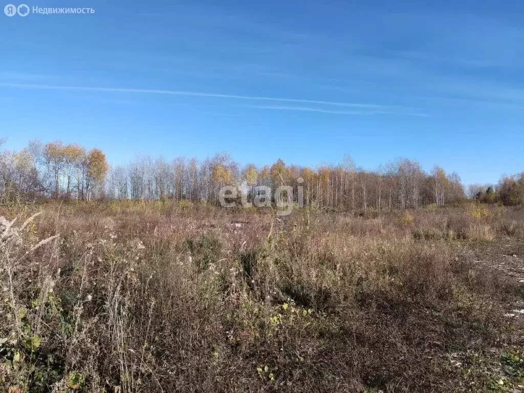 Участок в Свердловская область, посёлок городского типа Пионерский ... - Фото 0