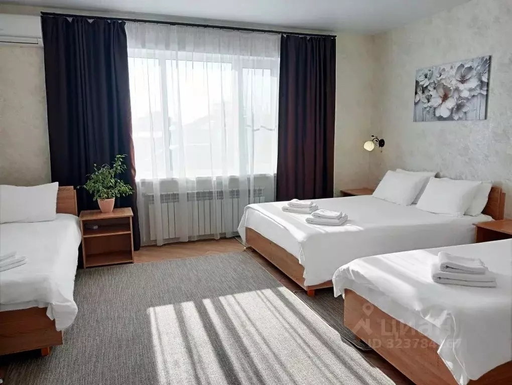 Комната Воронежская область, Богучар ул. Дзержинского, 219 - Фото 2