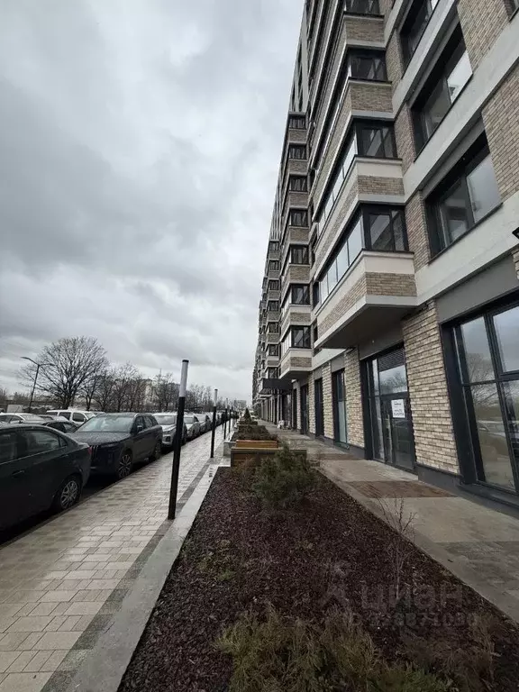 Студия Санкт-Петербург Кубинская ул., 76к1 (27.0 м) - Фото 2