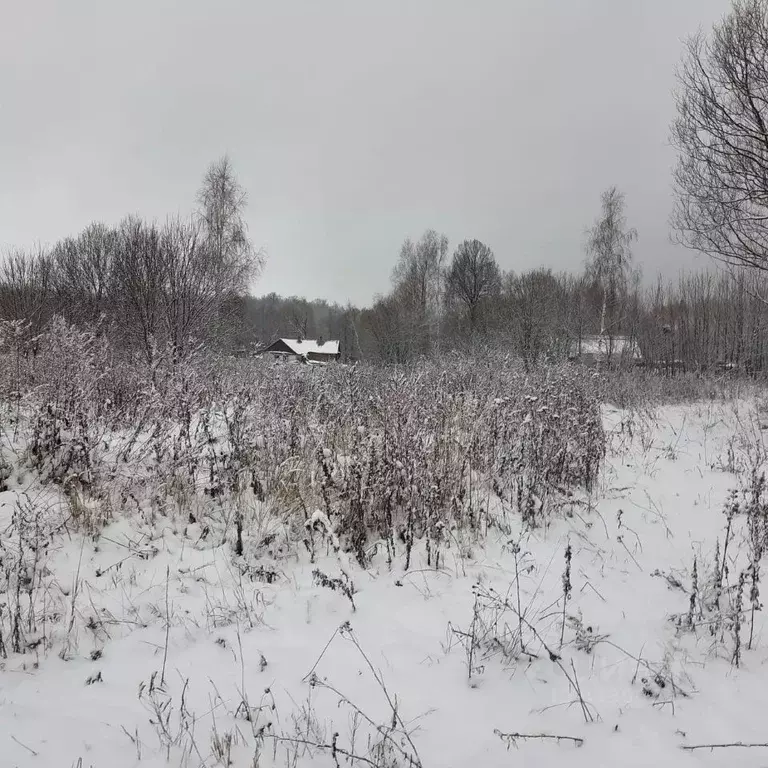 Участок в Московская область, Ступино городской округ, с. Куртино  ... - Фото 0