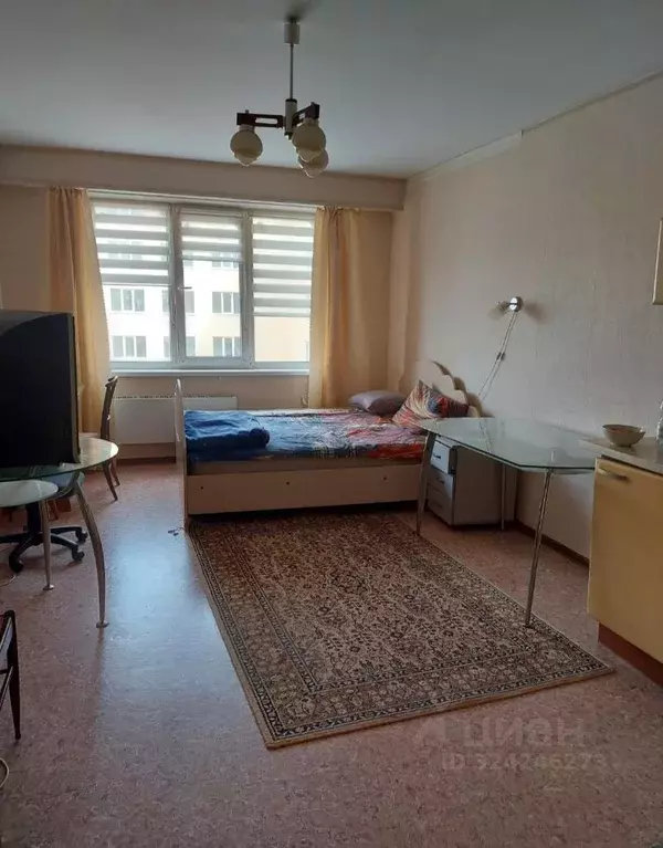 Студия Самарская область, Тольятти ул. Ленина, 27 (24.0 м) - Фото 1