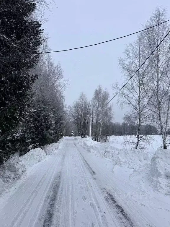 Участок в Московская область, Чехов муниципальный округ, д. Васькино ... - Фото 1
