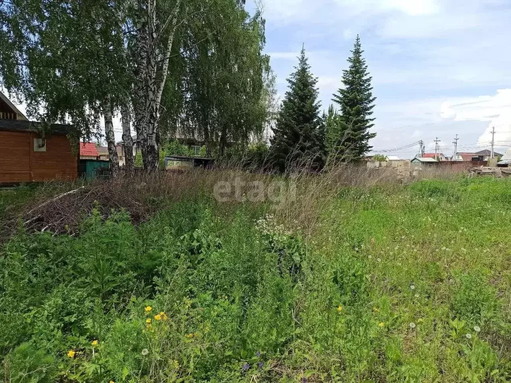 Участок в Новосибирская область, Бердск Ветеран садовое товарищество, ... - Фото 0