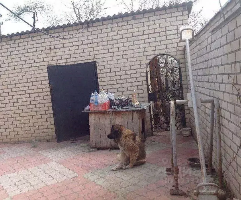 Дом в Крым, Симферополь ул. Молодых Подпольщиков (110 м) - Фото 2