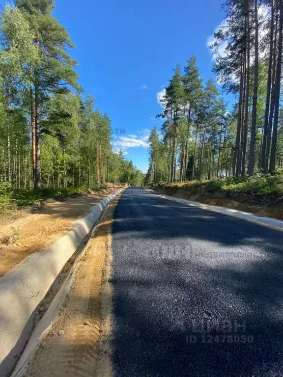 Участок в Ленинградская область, Всеволожский район, Куйвозовское ... - Фото 0