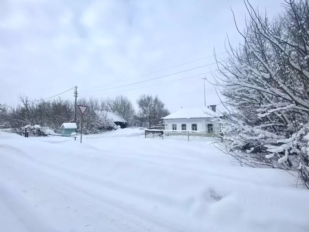 Дом в Тамбовская область, Моршанский муниципальный округ, д. ... - Фото 2