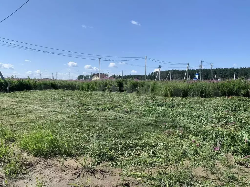 Участок 8 сот. (ИЖС) - Фото 0