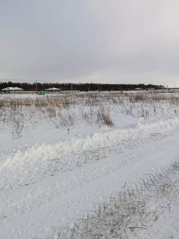 Участок в Ульяновская область, Ульяновск ул. Радужная, 20 (15.0 сот.) - Фото 2