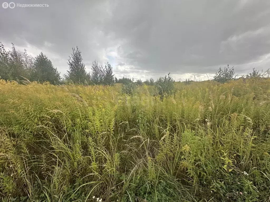 Участок в село Отрадное, Успенская улица (9.5 м) - Фото 1