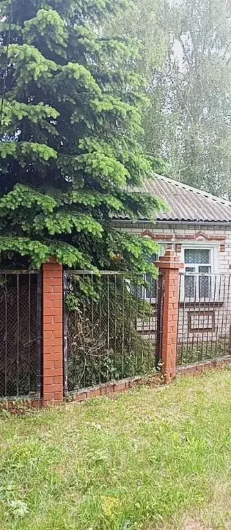 Дом в Белгородская область, Яковлевский городской округ, с. Казацкое ... - Фото 0