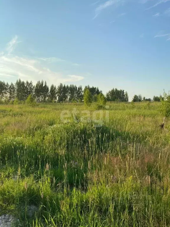 Участок в Калужская область, Калуга городской округ, д. Лихун ул. ... - Фото 0