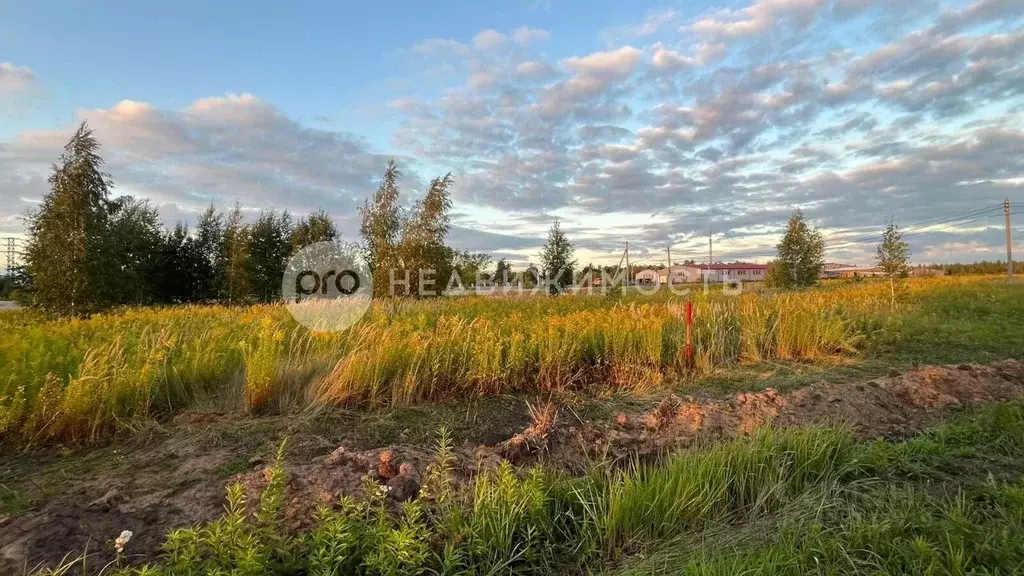 Участок в Рязанская область, Рыбное  (15.0 сот.) - Фото 1