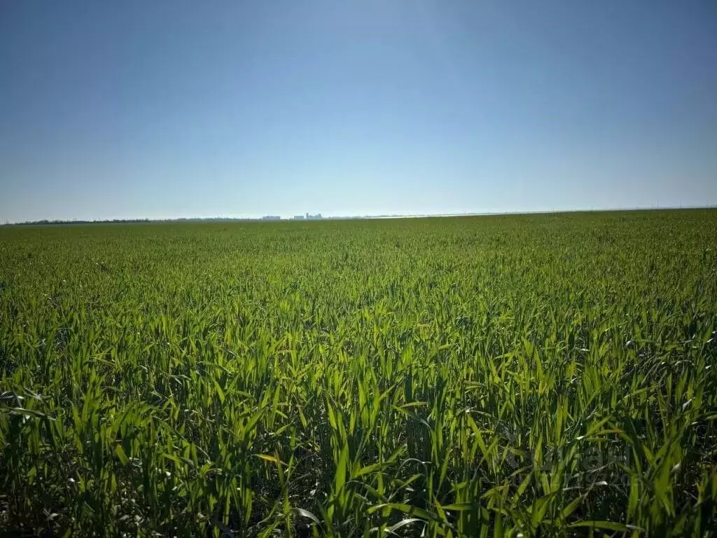 Участок в Крым, Сакский район, Лесновское с/пос, с. Прибрежное  (70.0 ... - Фото 2