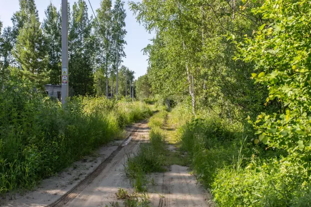 Участок в Тюменская область, Тобольский муниципальный округ, ... - Фото 2