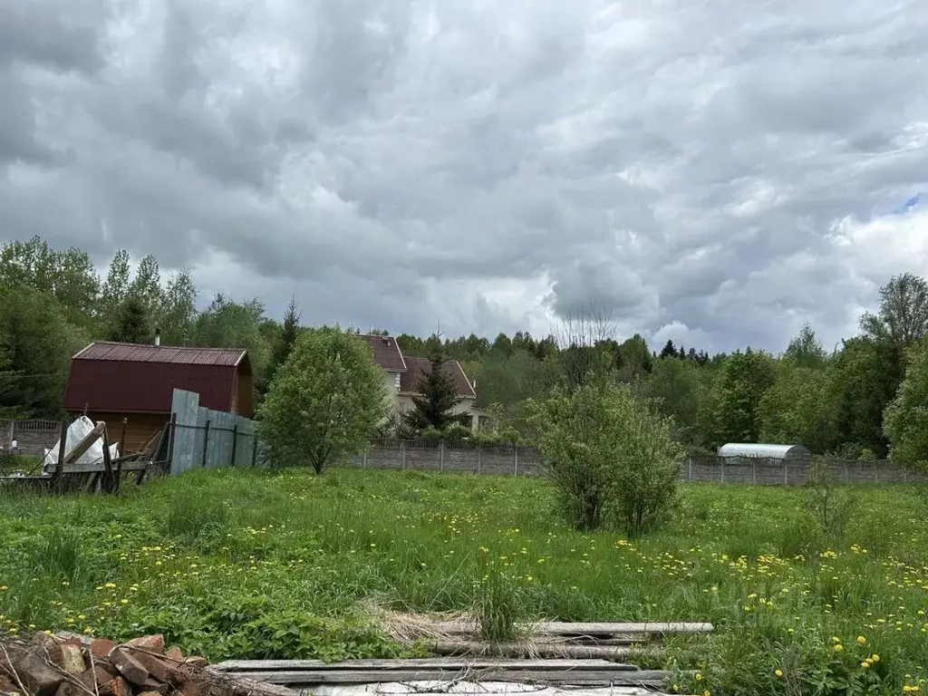 Участок в Ленинградская область, Ломоносовский район, Лопухинское ... - Фото 1