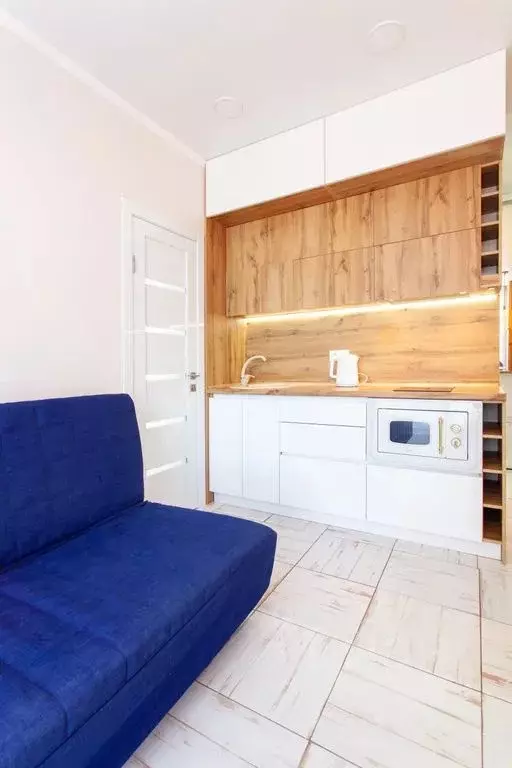 1-к кв. Краснодарский край, Сочи ул. Ленина, 298В/1к1 (25.0 м) - Фото 1