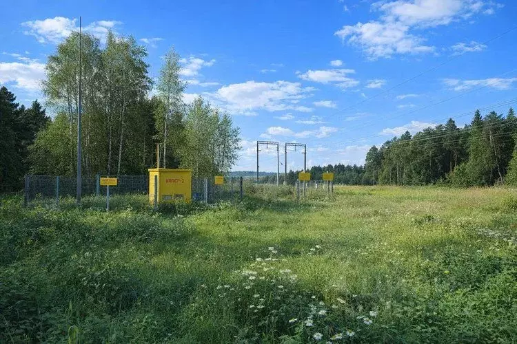 Участок в Московская область, Солнечногорск городской округ, д. Покров ... - Фото 2