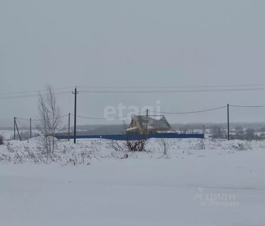 Участок в Саратовская область, Балашовский район, Хоперское ... - Фото 1