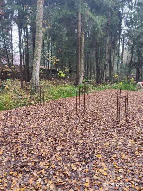 Участок в Московская область, Мытищи городской округ, пос. Трудовая ... - Фото 1
