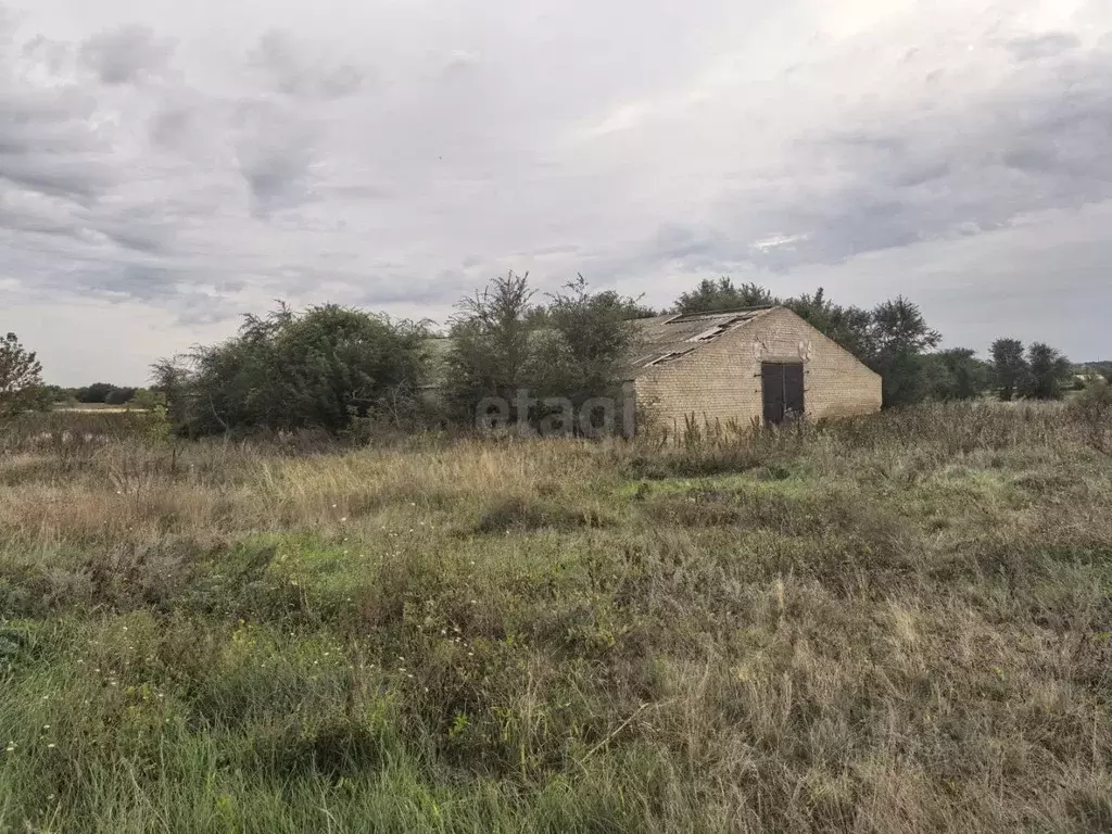 Склад в Самарская область, Хворостянский район, с. Абашево ... - Фото 2