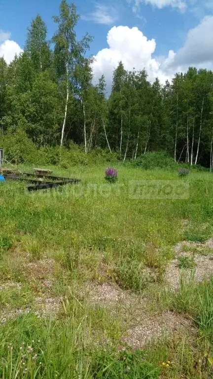 Участок в Калужская область, Калуга городской округ, д. Галкино 38Б ... - Фото 0