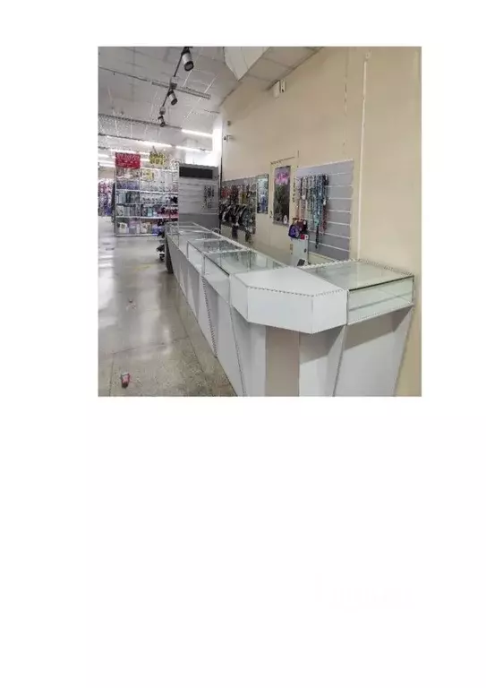 Помещение свободного назначения в Новосибирская область, Новосибирский ... - Фото 2