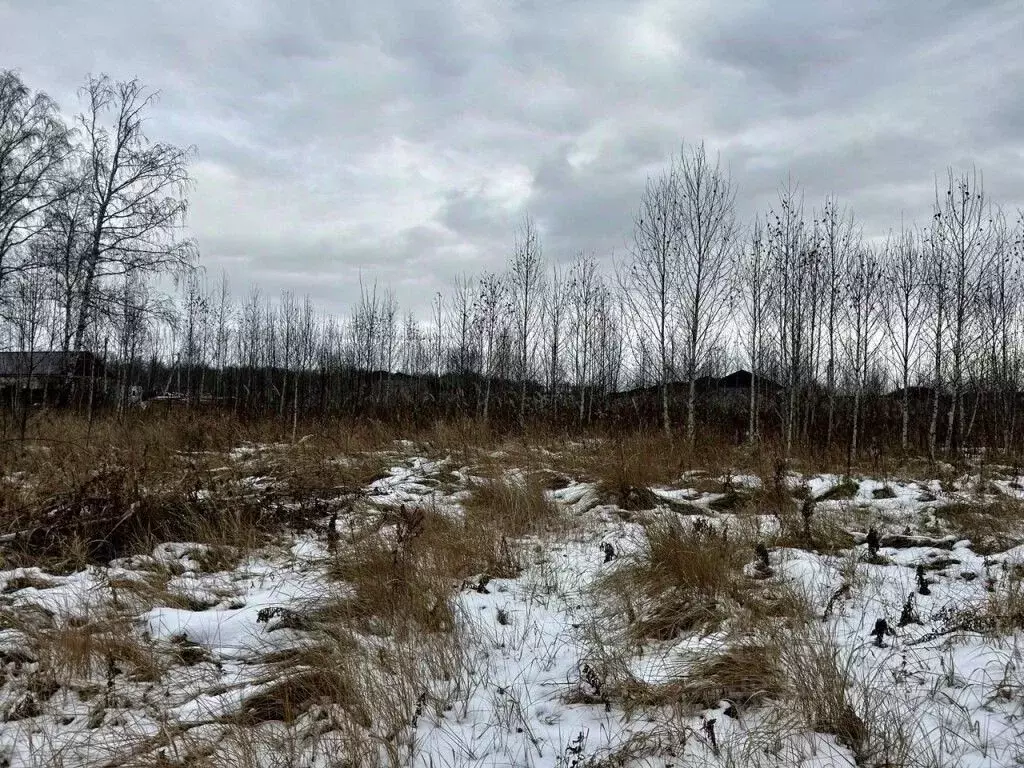 Участок в Челябинская область, Сосновский район, Кременкульское с/пос, ... - Фото 0