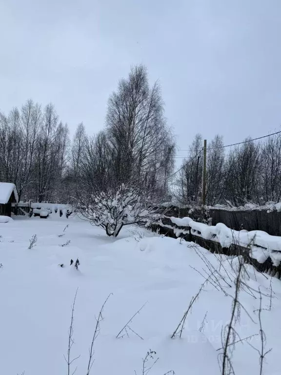 Участок в Кировская область, Кирово-Чепецкий район, Пасеговское с/пос, ... - Фото 2