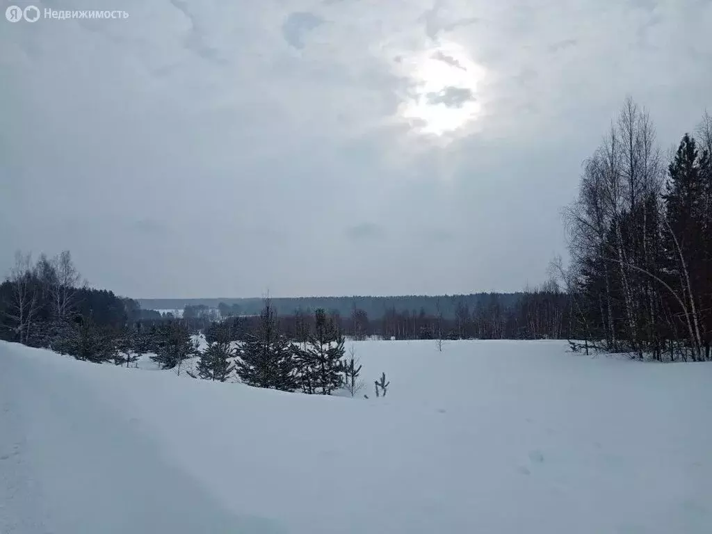 Участок в Нижегородская область, Богородский муниципальный округ, ... - Фото 2