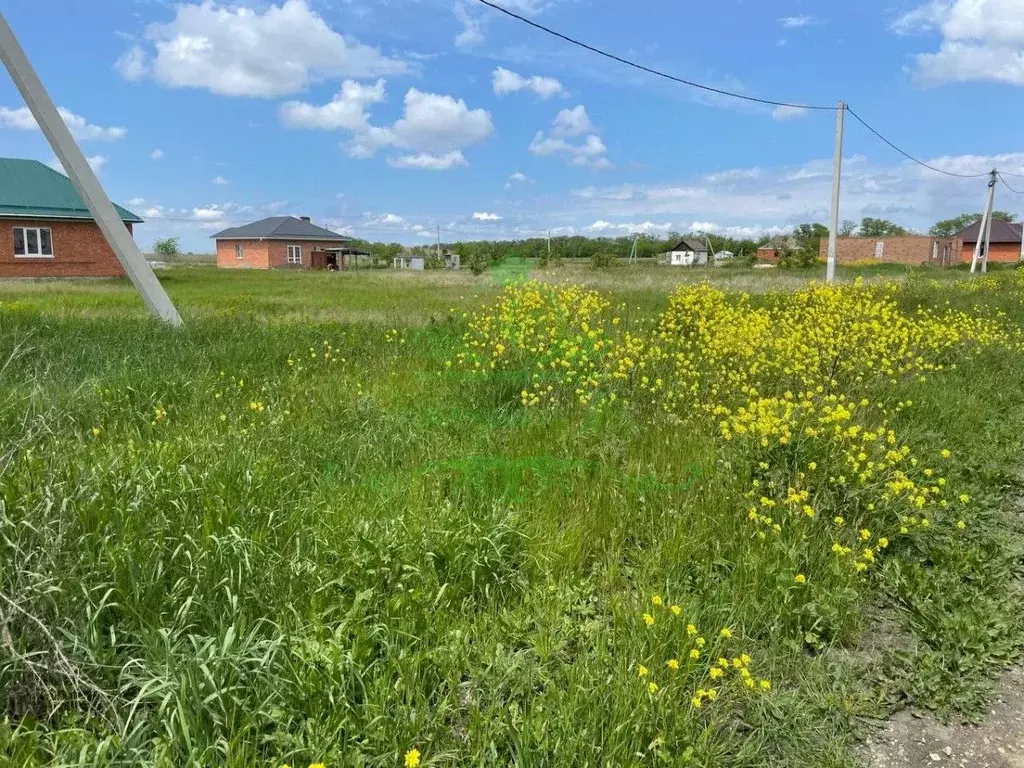 Участок в Краснодарский край, Калининская ст-ца пер. Полевой (10.0 ... - Фото 0
