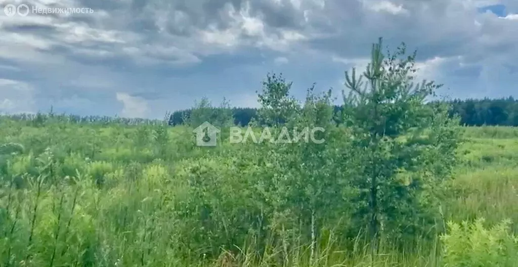 Участок в Нижегородская область, Богородский муниципальный округ, ... - Фото 0