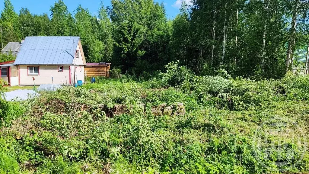 Участок в Ленинградская область, Выборгский район, Красносельское ... - Фото 2