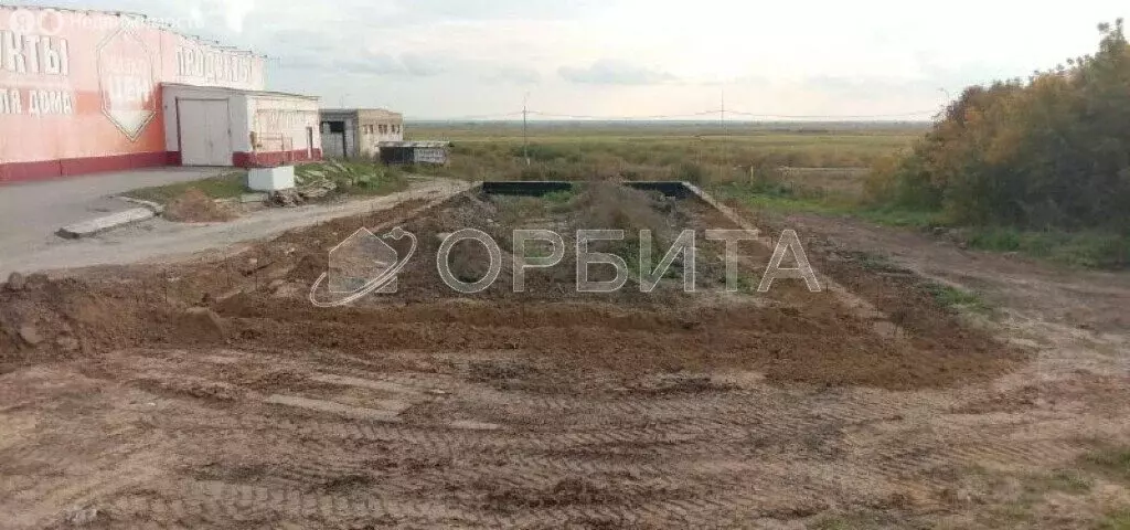 Участок в Тюменская область, село Абатское (16 м) - Фото 1