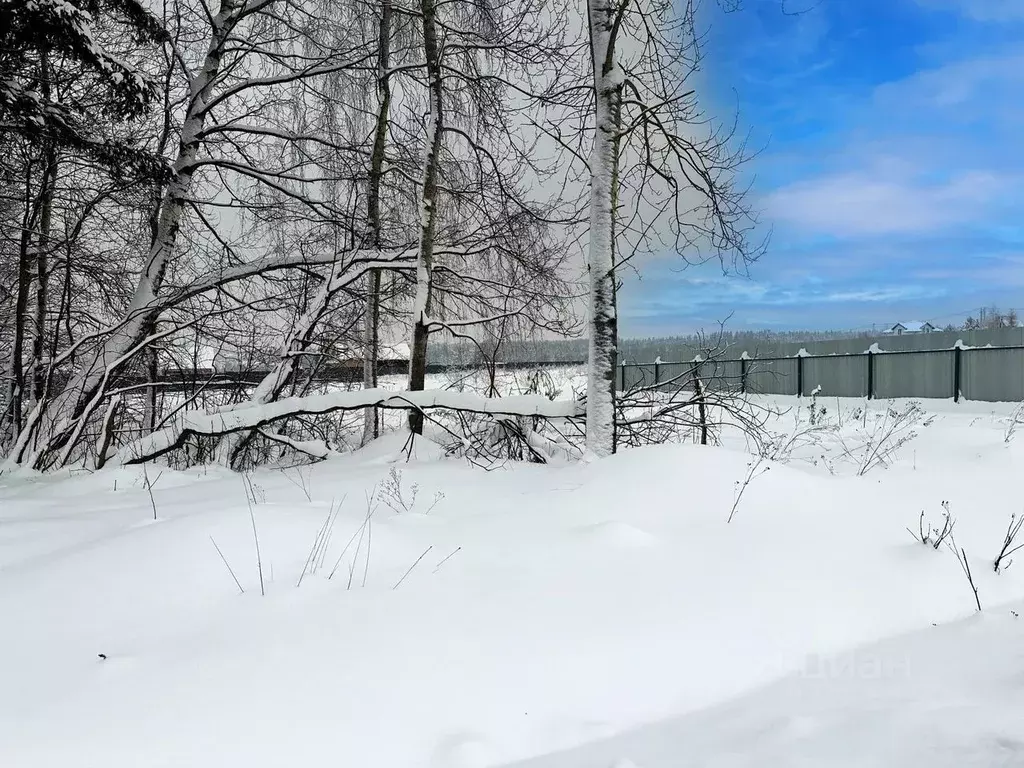 Участок в Московская область, Дмитровский муниципальный округ, ... - Фото 1