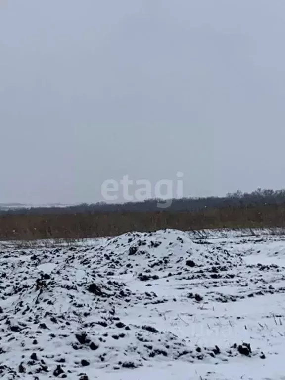 Участок в Белгородская область, Белгородский район, Головинское с/пос, ... - Фото 1