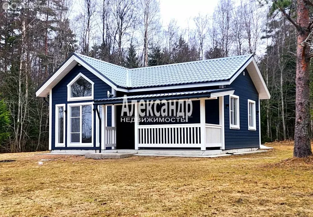 Дом в Плодовское сельское поселение (59.1 м) - Фото 1