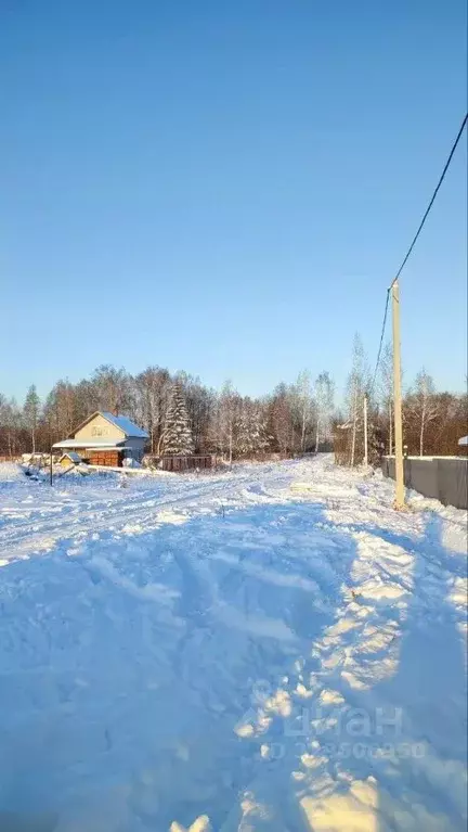 Участок в Пермский край, Пермь Прохладная ул. (8.0 сот.) - Фото 1
