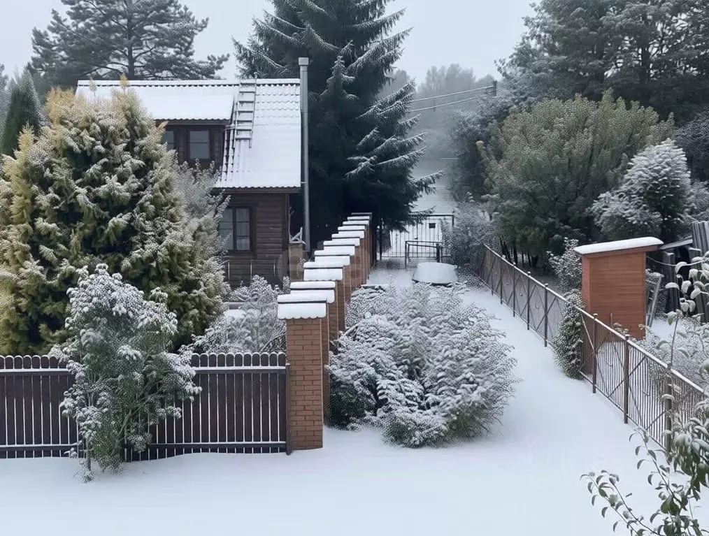 Дом в Ленинградская область, Сланцевский район, Загривское с/пос, д. ... - Фото 1