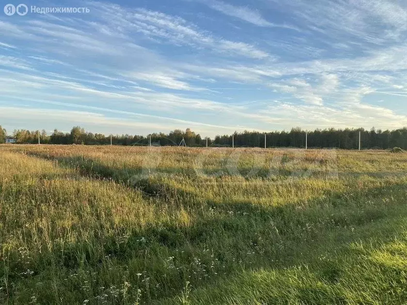 Участок в Тюменский район, Винзилинское муниципальное образование (4 ... - Фото 0