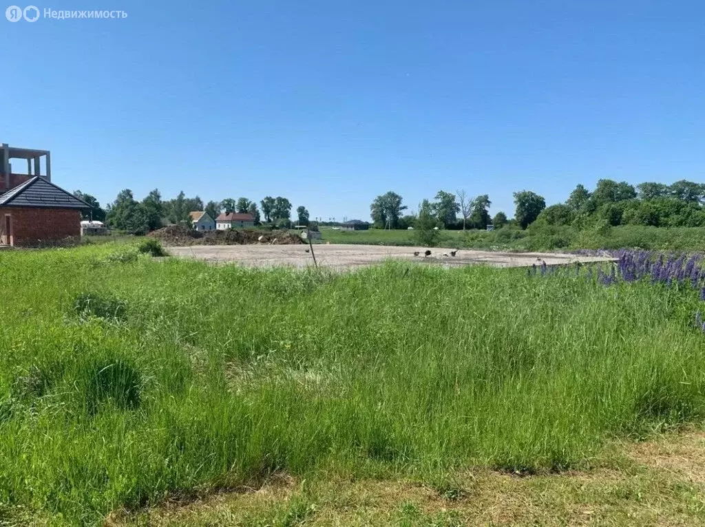 Участок в Калининградская область, Зеленоградский муниципальный округ, ... - Фото 1