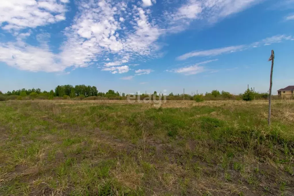 Участок в Тюменская область, Тюмень Дубок садовое товарищество,  (12.0 ... - Фото 1