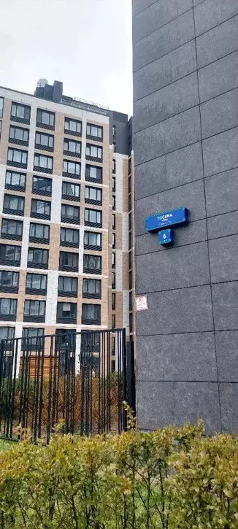 Студия Санкт-Петербург ул. Тосина, 6 (24.4 м) - Фото 2