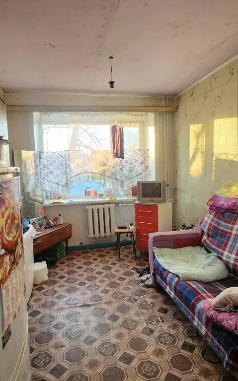 Комната Еврейская автономная область, Смидовичский район, пос. ... - Фото 1