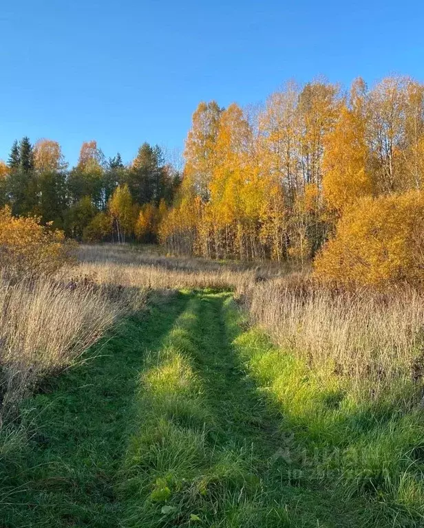 Участок в Карелия, Питкярантский муниципальный округ, д. Койриноя  ... - Фото 1