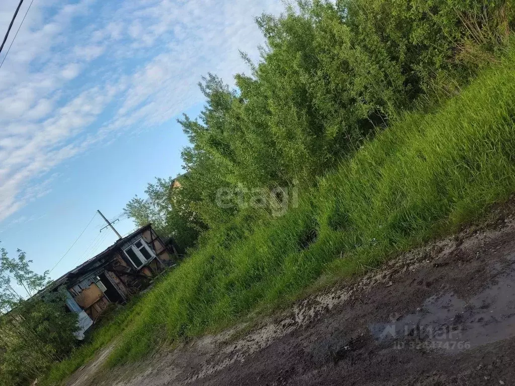 Участок в Ханты-Мансийский АО, Сургут Ручеек садовое товарищество, ул. ... - Фото 1