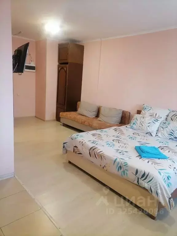 Студия Московская область, Раменское Высоковольтная ул., 22 (30.0 м) - Фото 2