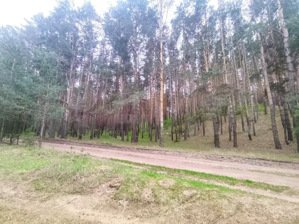 Участок 13 сот. (ИЖС) - Фото 0