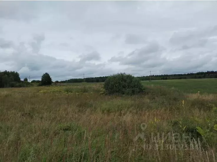 Участок в Московская область, Дмитровский муниципальный округ, с. ... - Фото 0