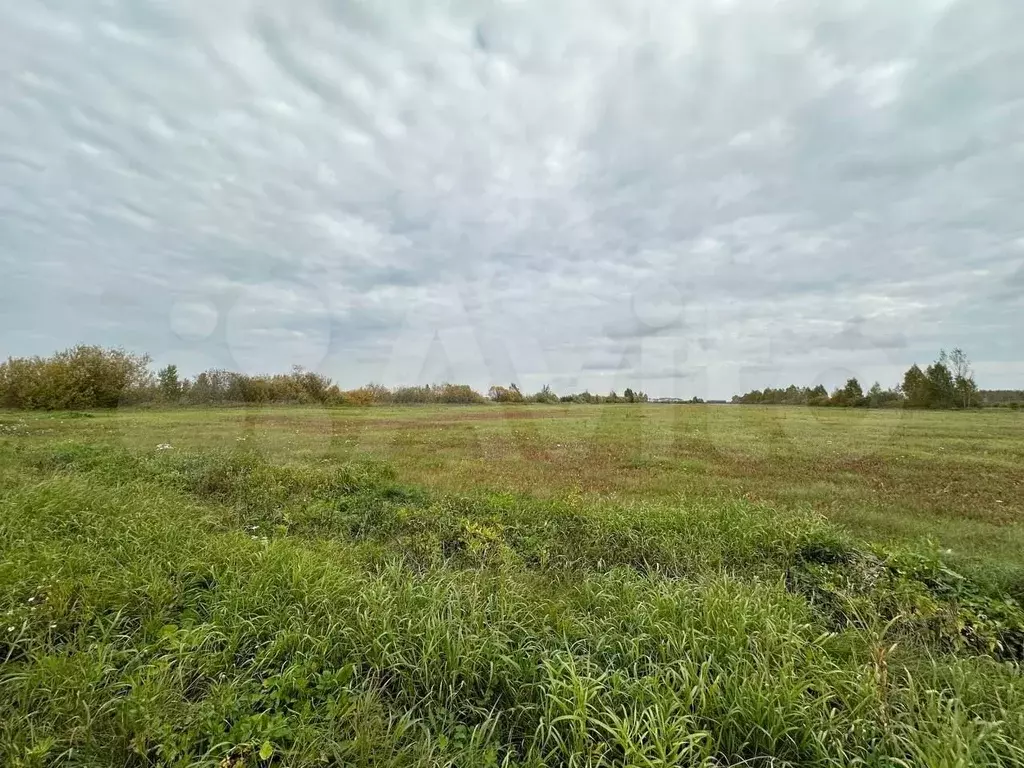 Участок 3,5 га (СНТ, ДНП) - Фото 1